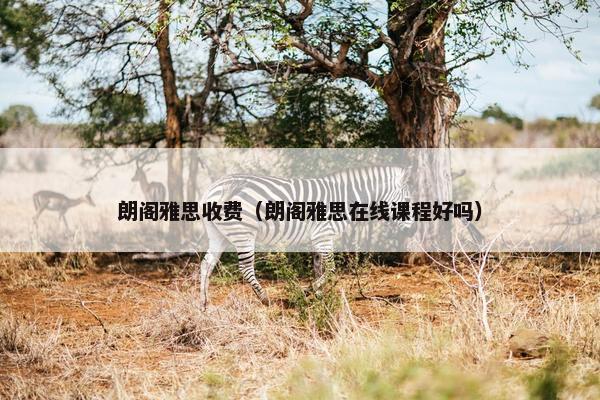 朗阁雅思收费（朗阁雅思在线课程好吗）