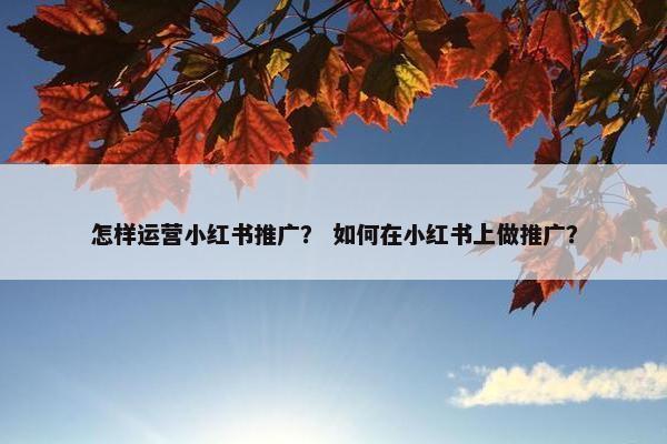 怎样运营小红书推广？ 如何在小红书上做推广？