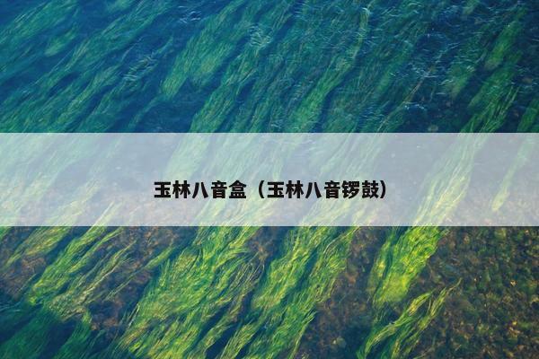 玉林八音盒(玉林八音锣鼓) 玉林八音盒(玉林八音锣鼓)
