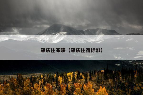 肇庆住家姨（肇庆住宿标准）