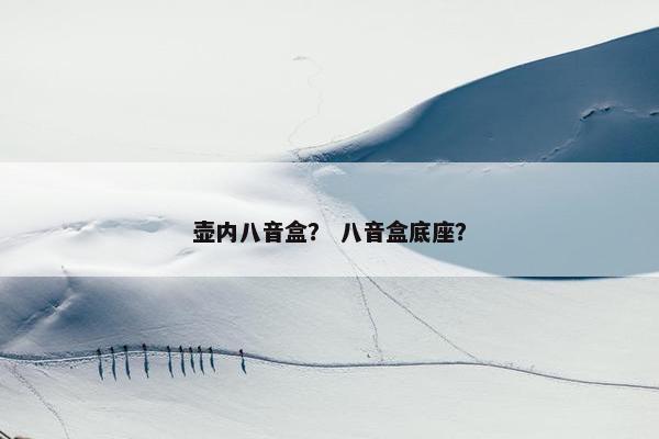 壶内八音盒？ 八音盒底座？