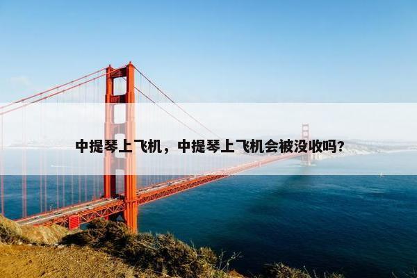 中提琴上飞机，中提琴上飞机会被没收吗?