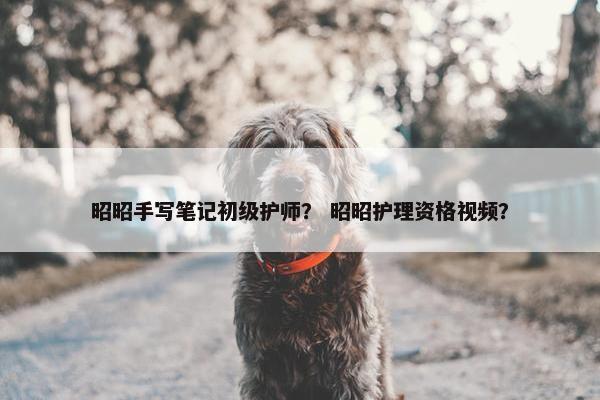昭昭手写笔记初级护师？ 昭昭护理资格视频？