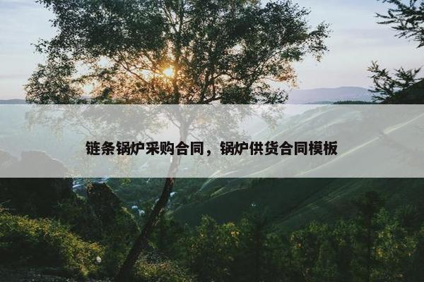 链条锅炉采购合同，锅炉供货合同模板