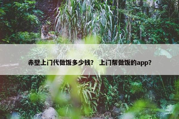赤壁上门代做饭多少钱？ 上门帮做饭的app？