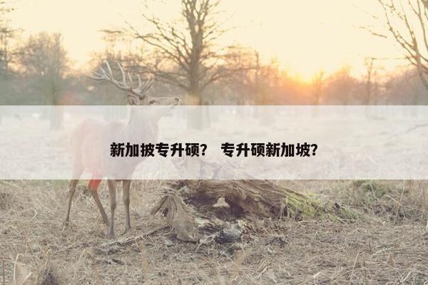 新加披专升硕？ 专升硕新加坡？