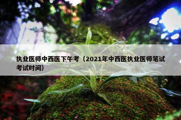 执业医师中西医下午考（2021年中西医执业医师笔试考试时间）