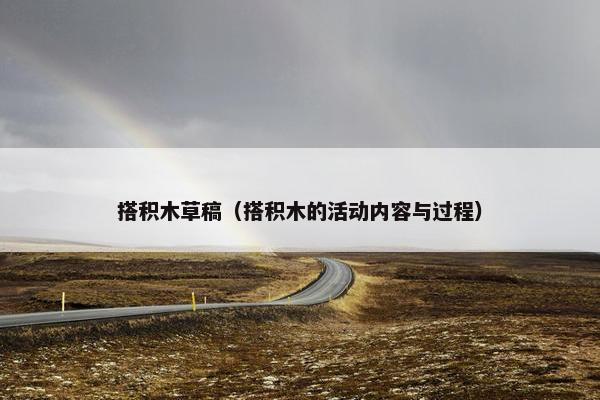 搭积木草稿（搭积木的活动内容与过程）