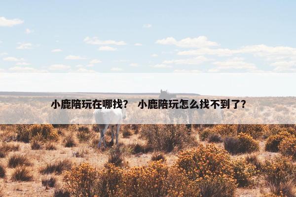小鹿陪玩在哪找？ 小鹿陪玩怎么找不到了？