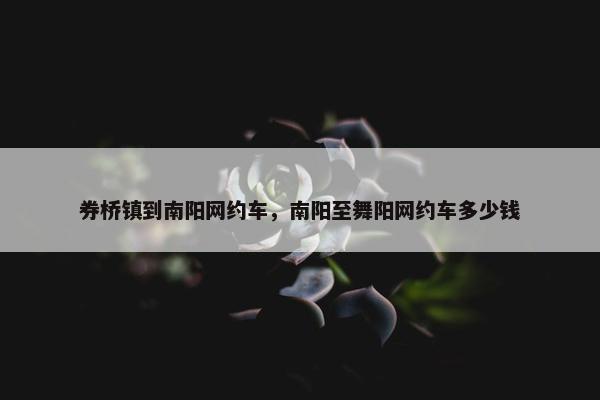 券桥镇到南阳网约车，南阳至舞阳网约车多少钱