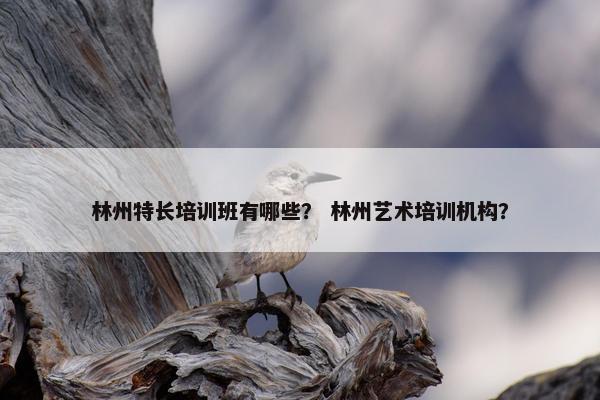 林州特长培训班有哪些？ 林州艺术培训机构？