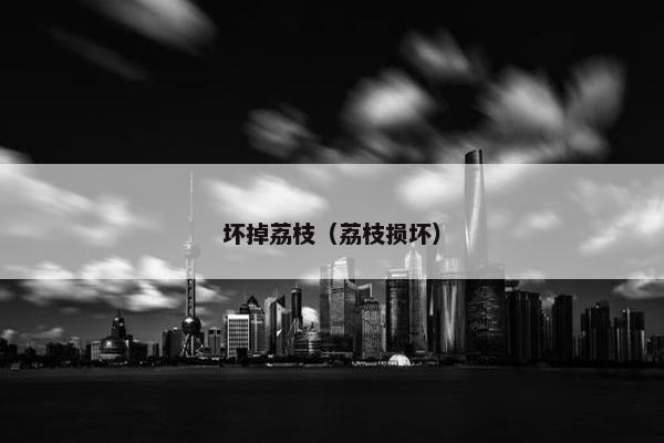 坏掉荔枝（荔枝损坏）