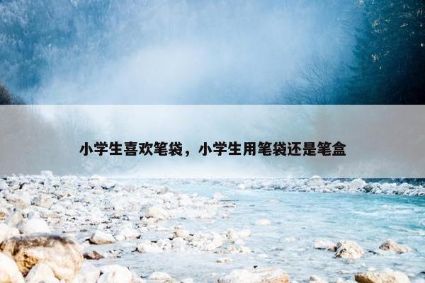 小学生喜欢笔袋，小学生用笔袋还是笔盒