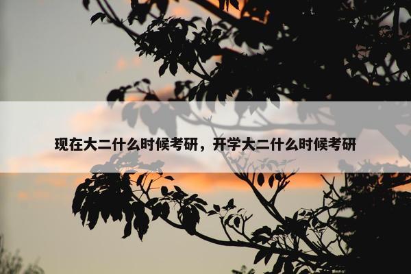 现在大二什么时候考研，开学大二什么时候考研