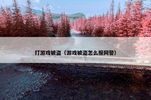 打游戏被盗（游戏被盗怎么报网警）