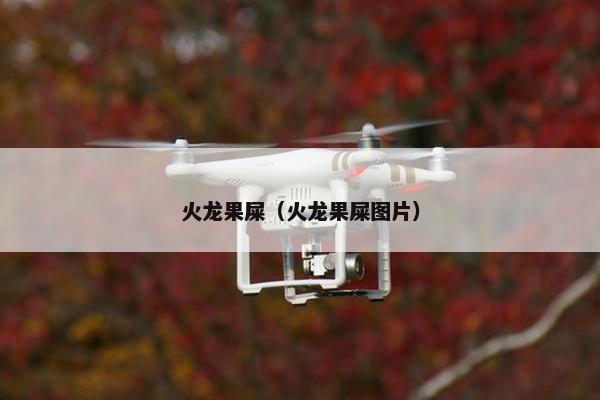 火龙果屎（火龙果屎图片）