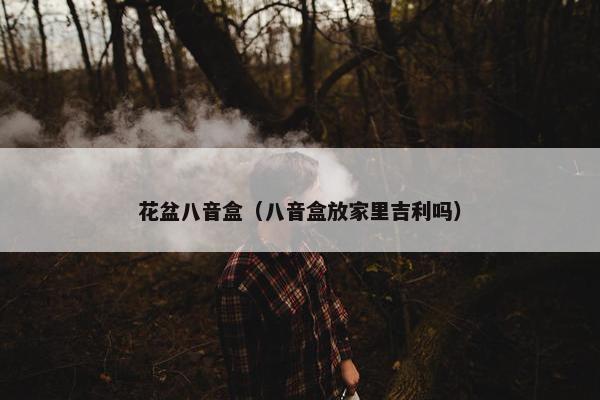 花盆八音盒（八音盒放家里吉利吗）