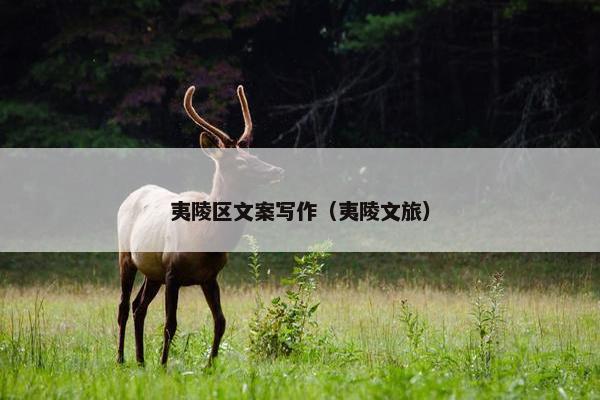 夷陵区文案写作（夷陵文旅）