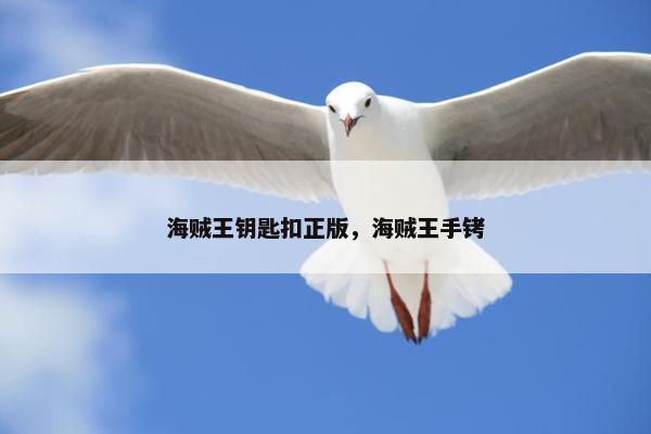 海贼王钥匙扣正版，海贼王手铐