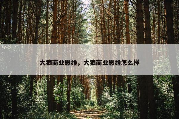 大狼商业思维，大狼商业思维怎么样