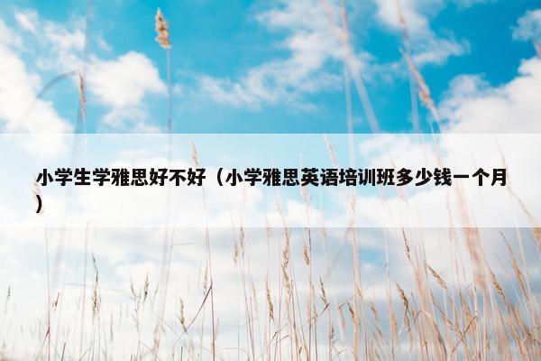 小学生学雅思好不好（小学雅思英语培训班多少钱一个月）