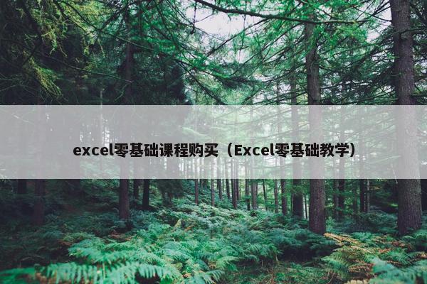 excel零基础课程购买(Excel零基础教学) excel零基础课程购买(Excel零基础教学)