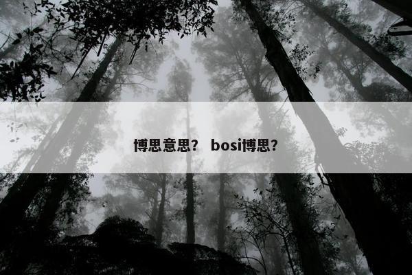 博思意思？ bosi博思？