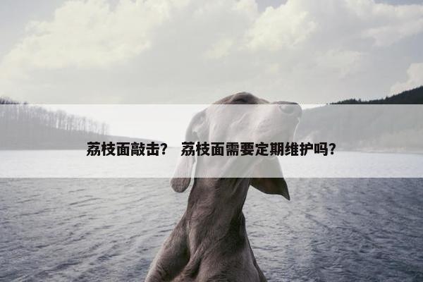 荔枝面敲击？ 荔枝面需要定期维护吗？