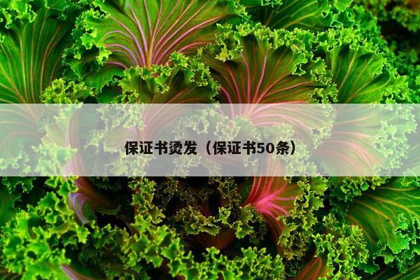 保证书烫发（保证书50条）