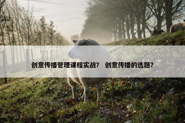 创意传播管理课程实战？ 创意传播的选题？