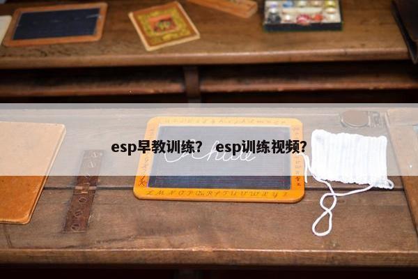 esp早教训练？ esp训练视频？