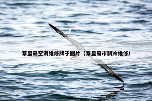 秦皇岛空调维修牌子图片（秦皇岛市制冷维修）