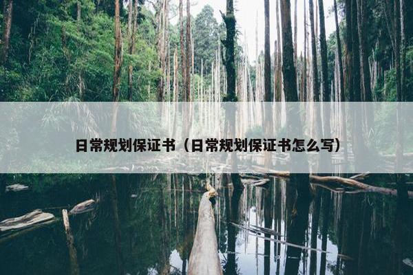 日常规划保证书（日常规划保证书怎么写）