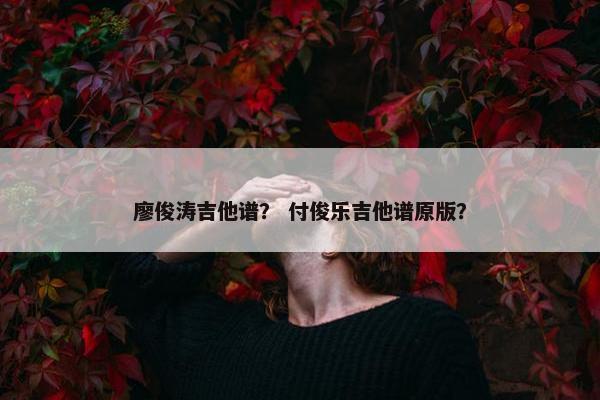 廖俊涛吉他谱？ 付俊乐吉他谱原版？