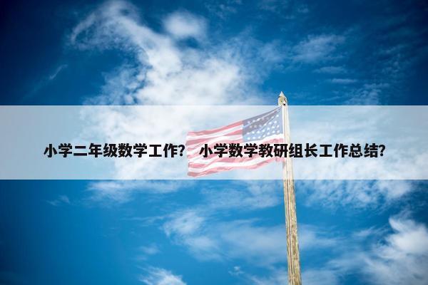 小学二年级数学工作？ 小学数学教研组长工作总结？