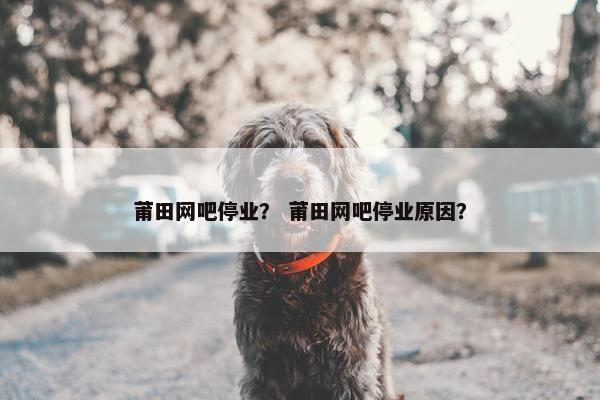 莆田网吧停业？ 莆田网吧停业原因？