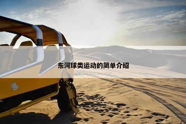 东河球类运动的简单介绍