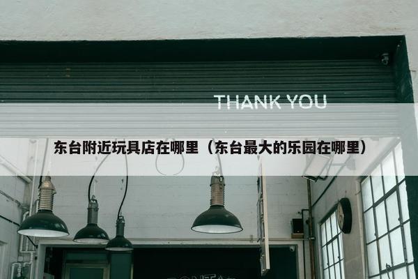 东台附近玩具店在哪里（东台最大的乐园在哪里）