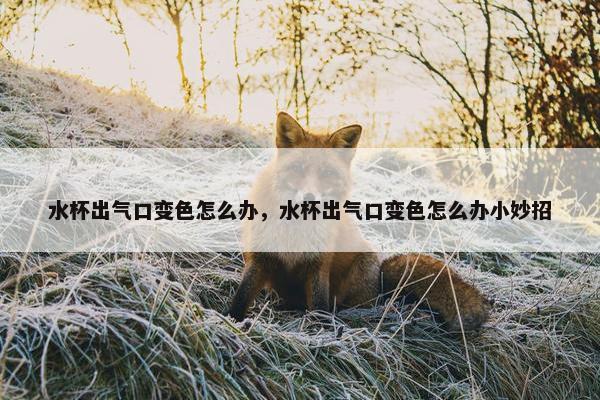 水杯出气口变色怎么办，水杯出气口变色怎么办小妙招