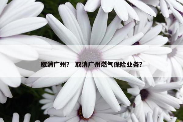 取消广州？ 取消广州燃气保险业务？