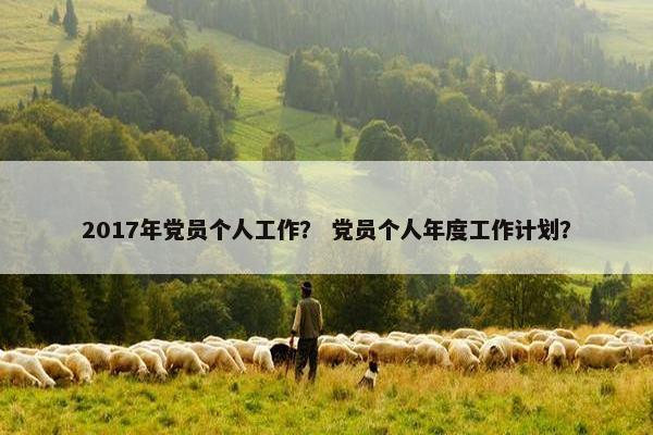 2017年党员个人工作？ 党员个人年度工作计划？