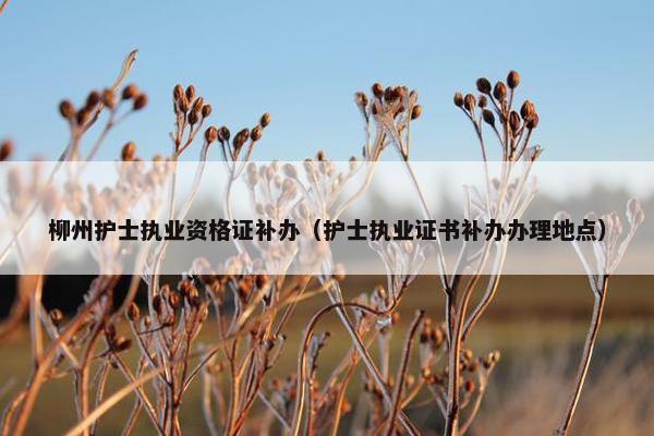 柳州护士执业资格证补办（护士执业证书补办办理地点）