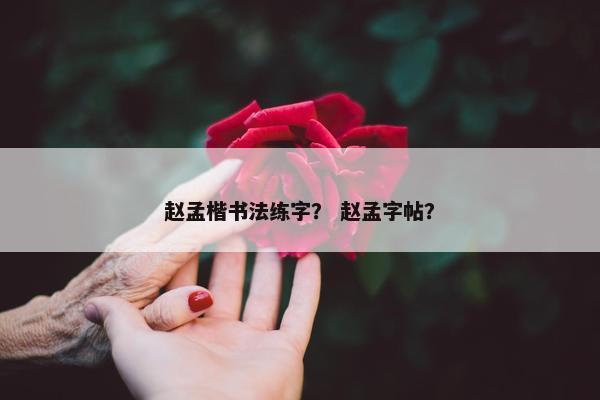 赵孟楷书法练字？ 赵孟字帖？