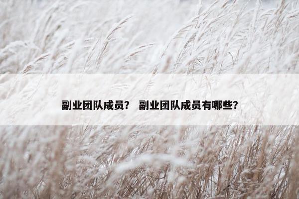 副业团队成员？ 副业团队成员有哪些？