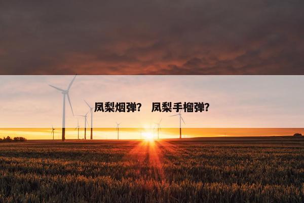 凤梨烟弹？ 凤梨手榴弹？