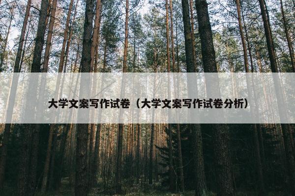 大学文案写作试卷(大学文案写作试卷分析) 大学文案写作试卷(大学文案写作试卷分析)