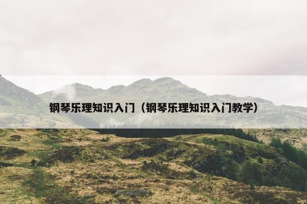钢琴乐理知识入门（钢琴乐理知识入门教学）