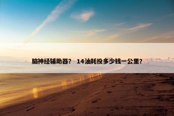 脑神经辅助器？ 14油耗投多少钱一公里？