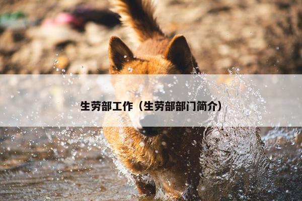 生劳部工作（生劳部部门简介）