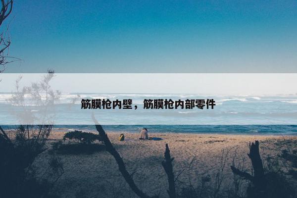 筋膜枪内壁，筋膜枪内部零件